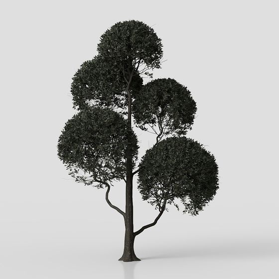 Dome Tree 3D Model - Low Poly, High Detail