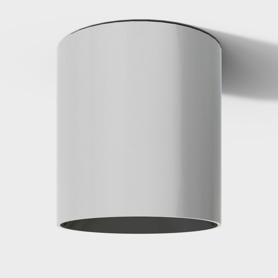 Curved Lampshade 3D model