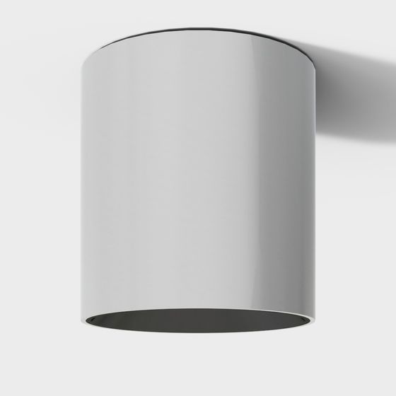 Curved Lamp Shade 3D Model
