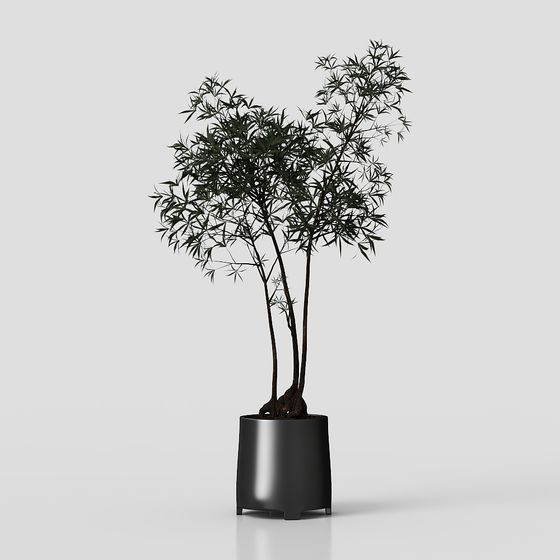 Bamboo Potted Plant 3D model