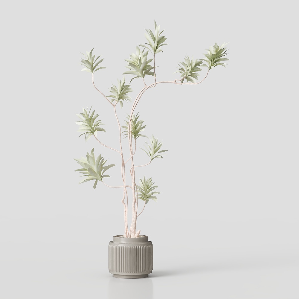 Urban Jungle 3D model for Interior Designers and Developers