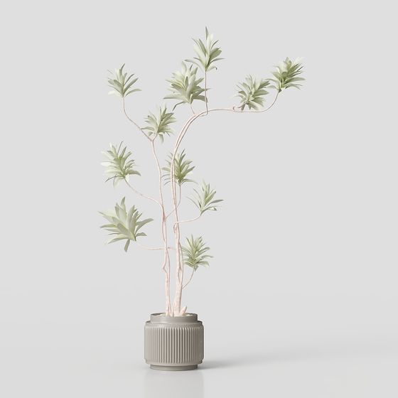 Urban Jungle 3D model for Interior Designers and Developers