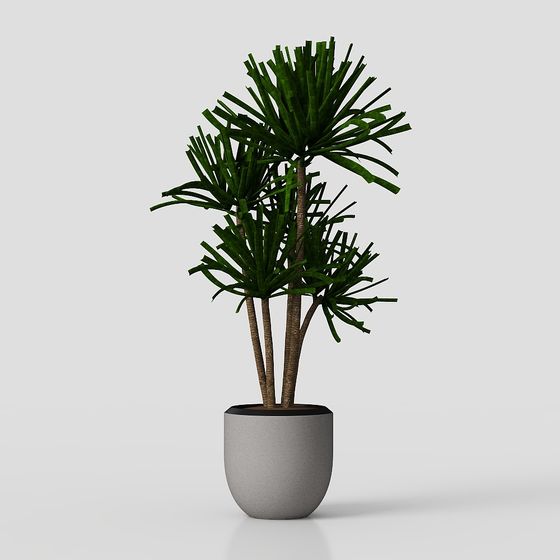Low-Poly 3D Plant Pot Model for Modern Interiors