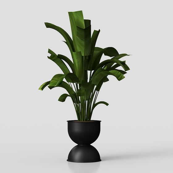 Stylish Indoor Plant Pot 3D Model for Creative Projects