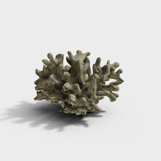 Coral Garden 3D Model