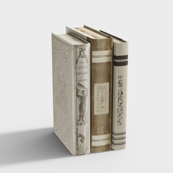 Time-Worn Books 3D model