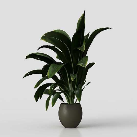 Indoor Potted Plant 3D Model for Creative Spaces