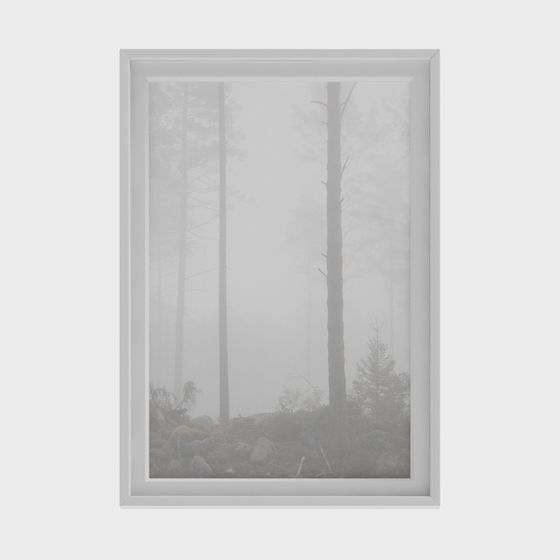 Misty Forest 3D model for Tranquil Landscapes