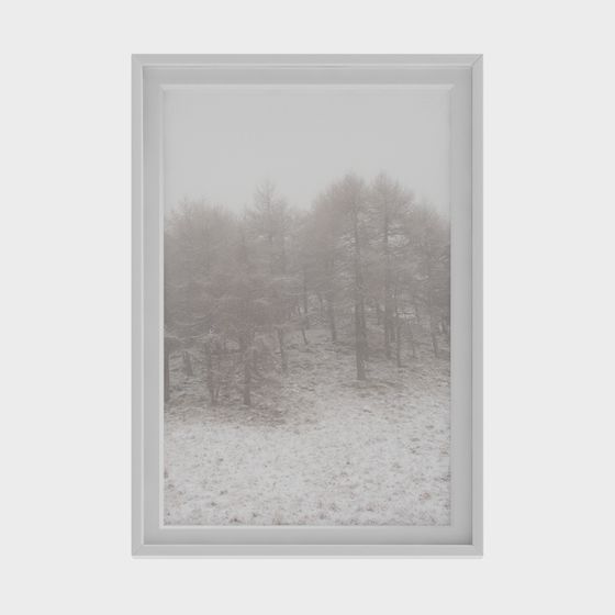 Snowy Forest Morning Mist 3D model for Creative Designs