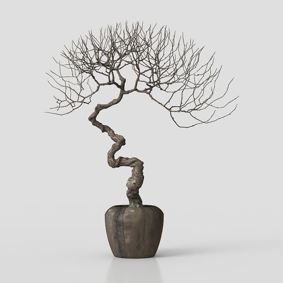 Winter Barewood Bonsai 3D model