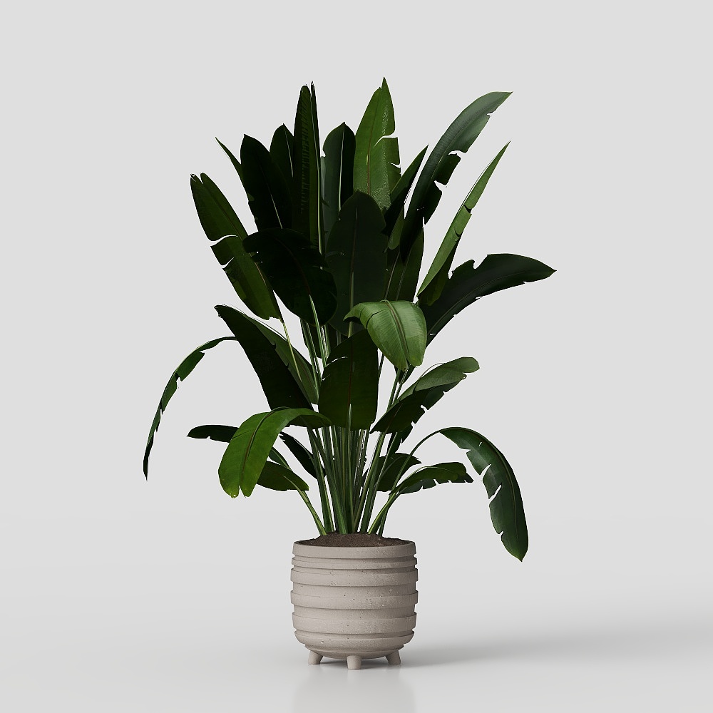 Indoor greenery
