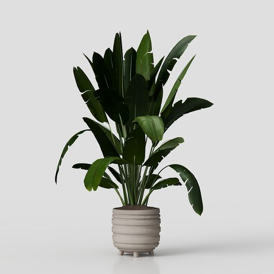 Tropical Style Potted Plant 3D model for Creative Projects