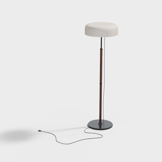 Modern Minimalist Floor Lamp 3D model