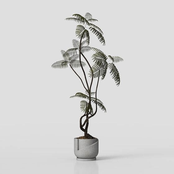 Urban Green Plant 3D model for Modern Designs
