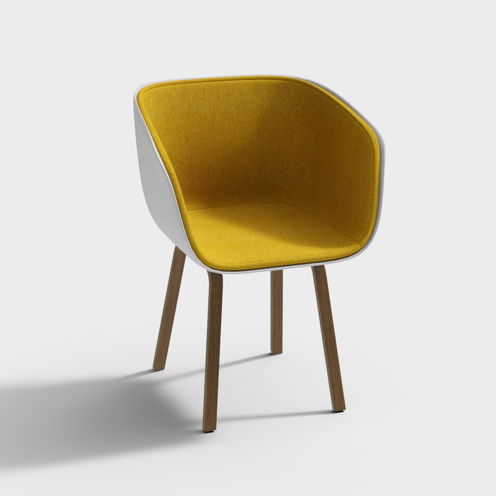 Modern leisure chair