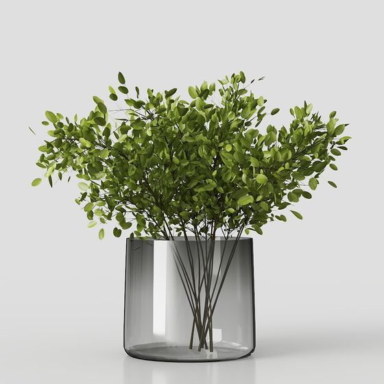 Natural Elegance in Glass Vase 3D model