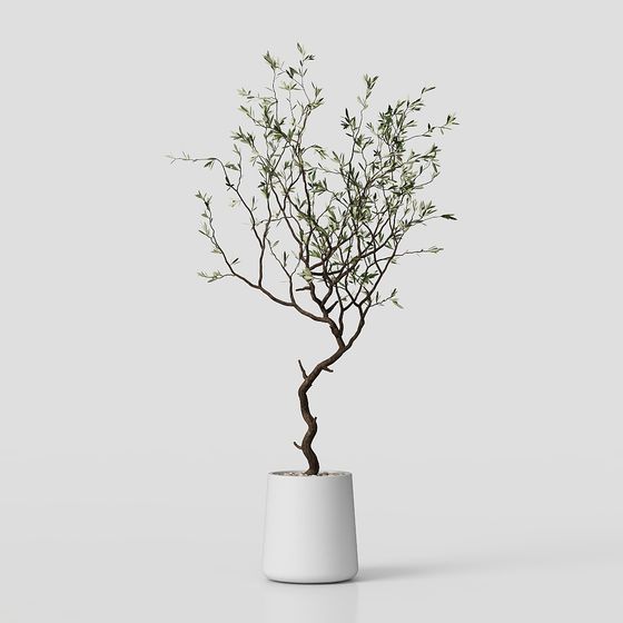 Elegant Olive Tree 3D Model for Modern Applications