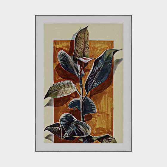 Ficus Plant 3D Model for Creative Projects