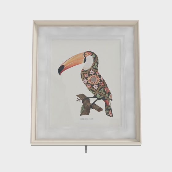 Boho Toucan 3D Model