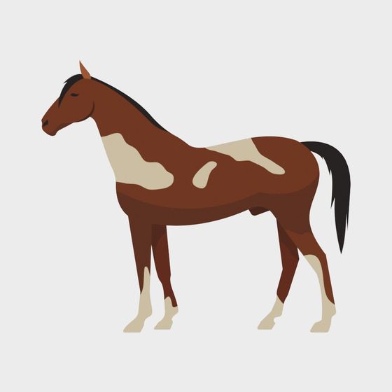 Southeast Asian tribal horse element wall sticker