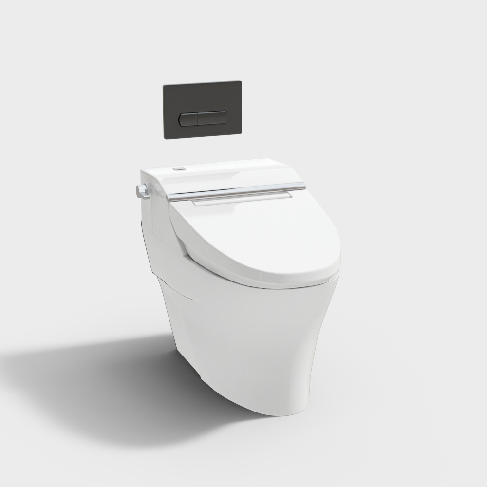 Intelligent Toilet