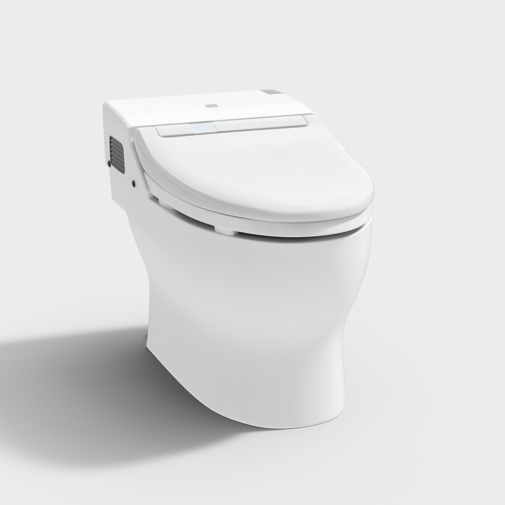 Intelligent Toilet
