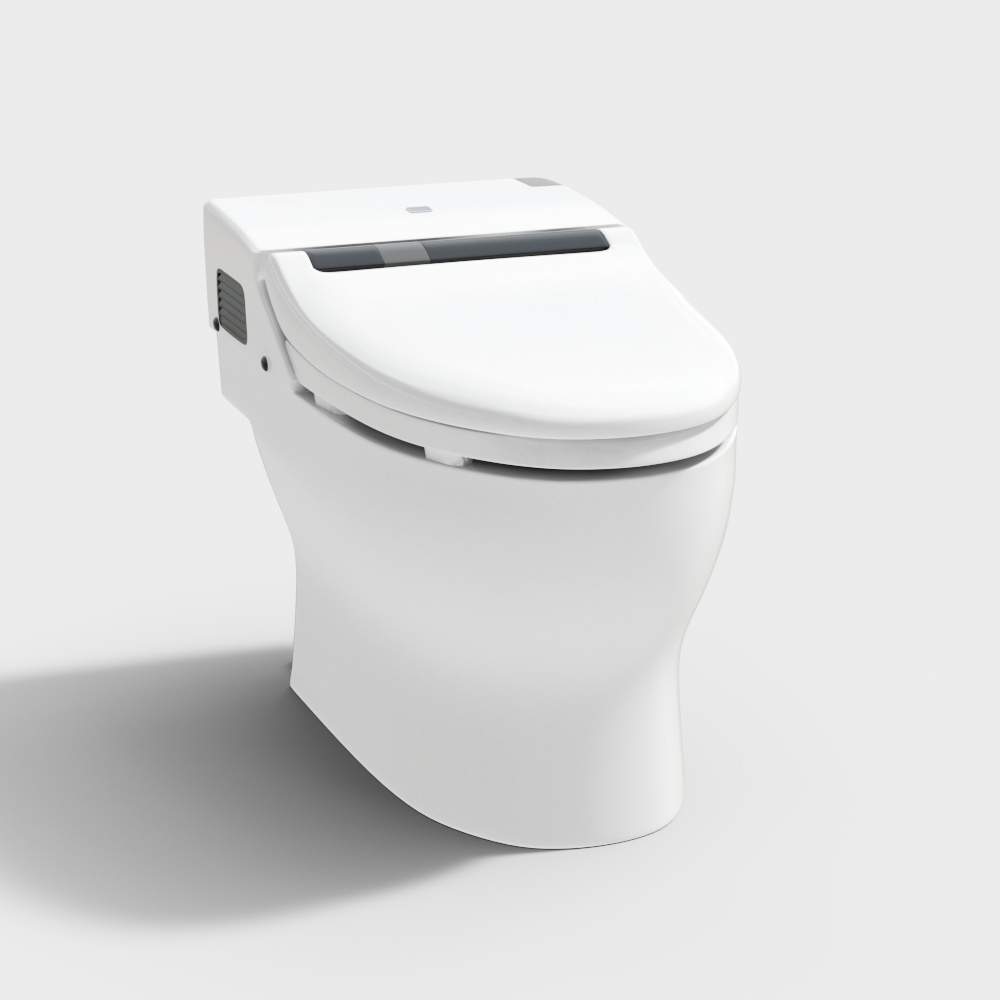 Modern Intelligent Toilet