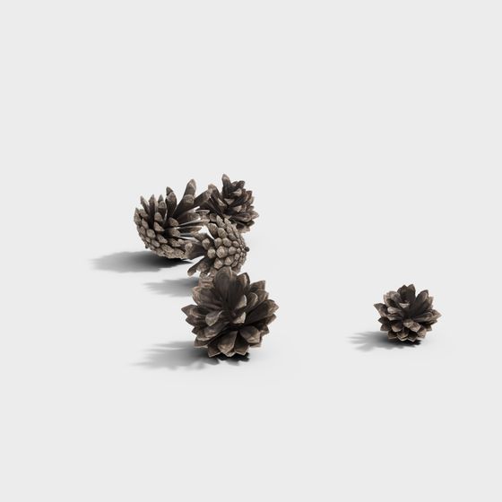 Realistic Pine Cone Series 3D model