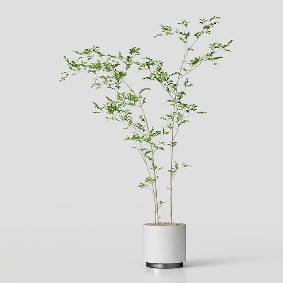 Stylish Urban Green Plant 3D model for Creative Projects