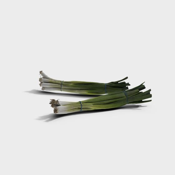 Vibrant Fresh Green Onion 3D model for Creative Projects