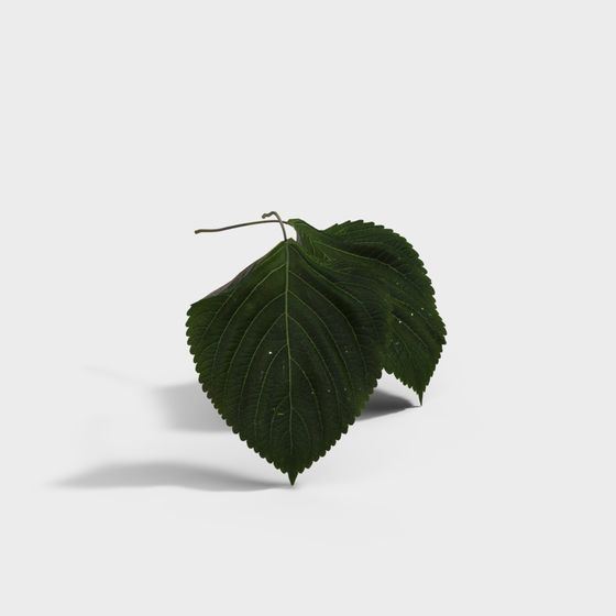 Natural Leaf Low-Poly 3D Model