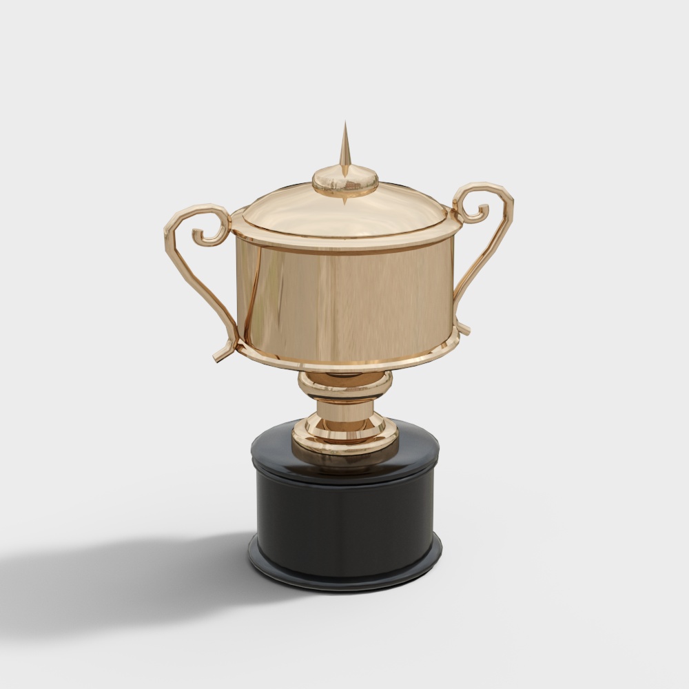 Modern Trophy