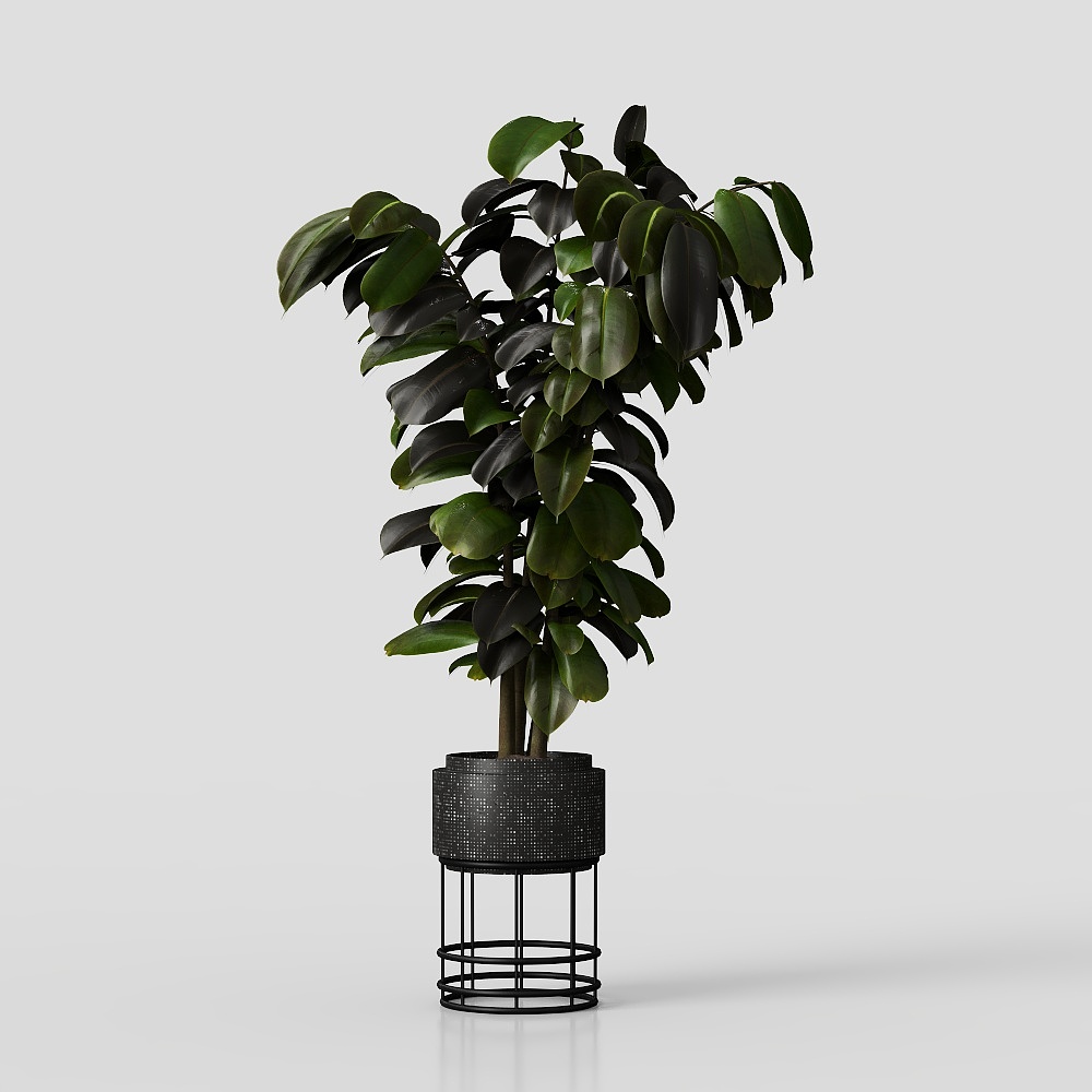 Urban Green Plant 3D model