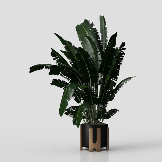 Vibrant Tropical Plant 3D Model for Modern Design