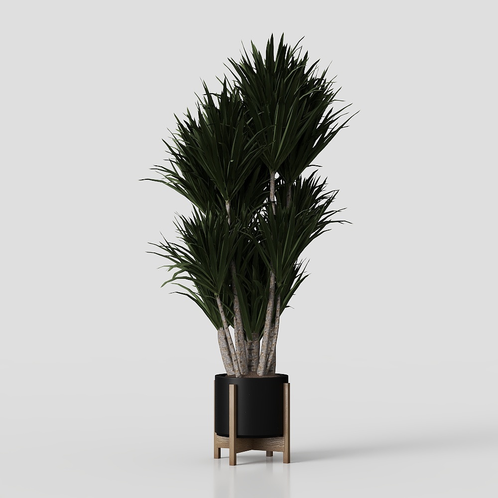 Tropical Plant 3D model for Modern Interiors