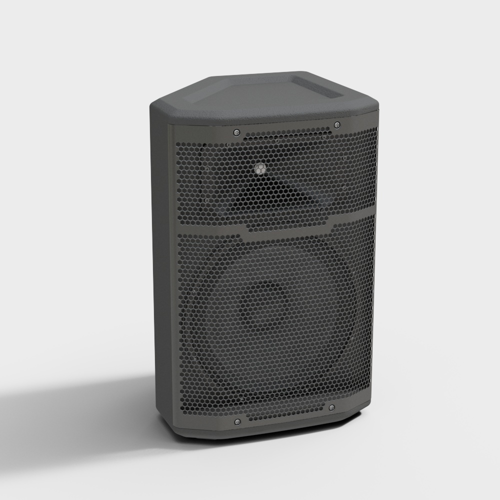 Large Speaker