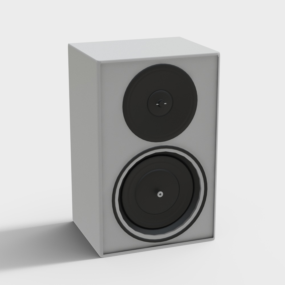 Large Speaker