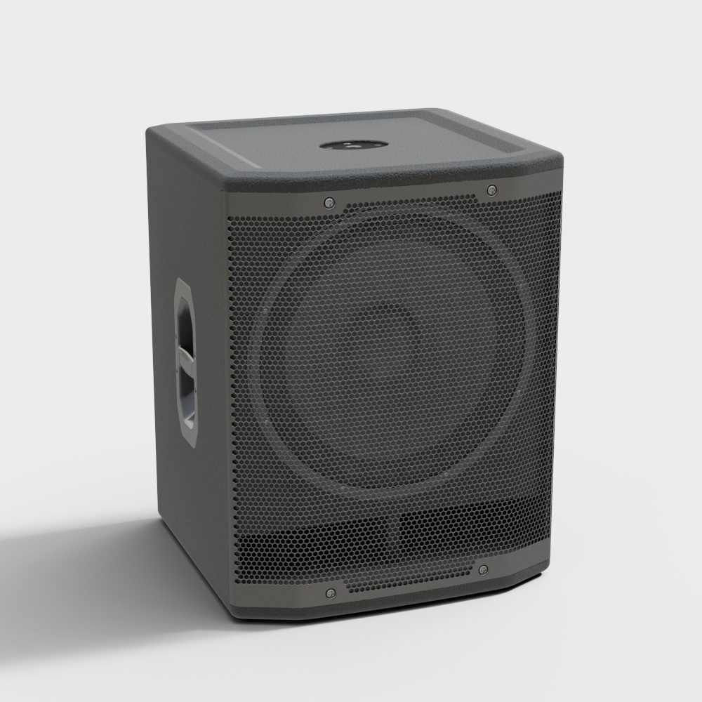 Large Speaker