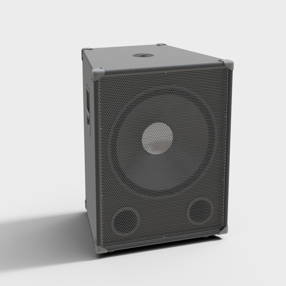 Large Speaker