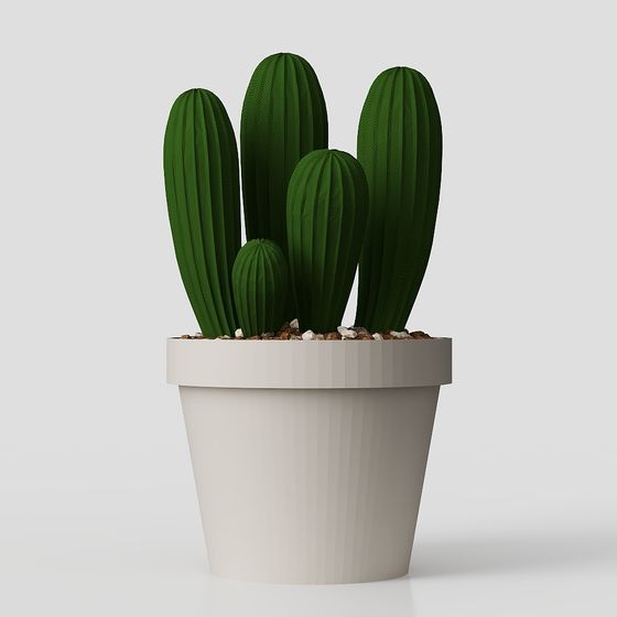 Desert Oasis Cactus 3D model