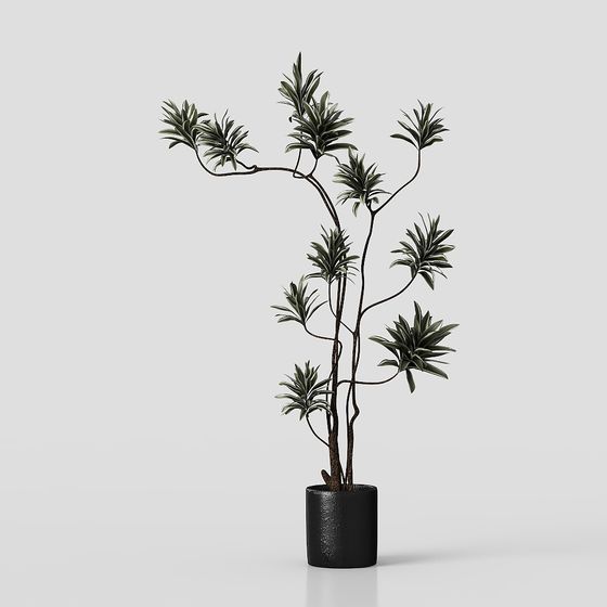 Lively Indoor Plant 3D model