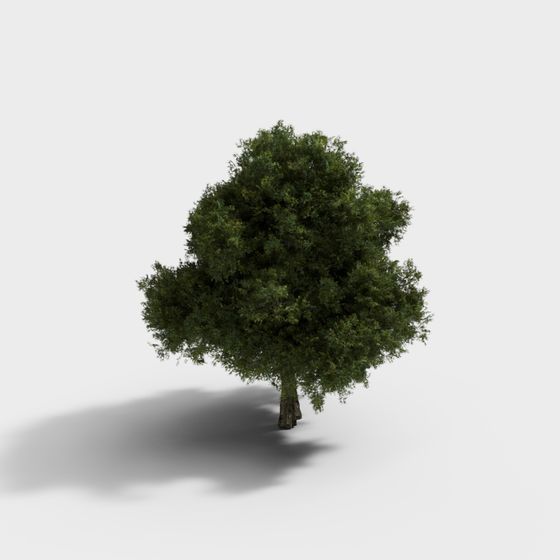 Natural Low-Polygon Oak Tree 3D model