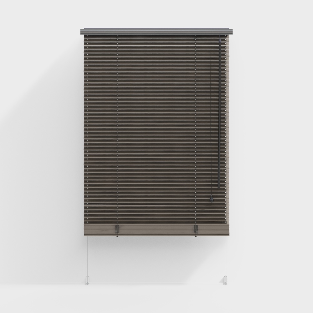 Modern Minimalist Roller Blind
