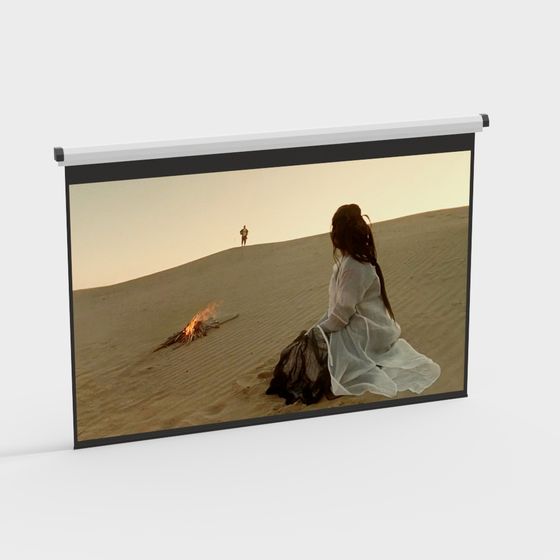 Desert Campfire 3D model