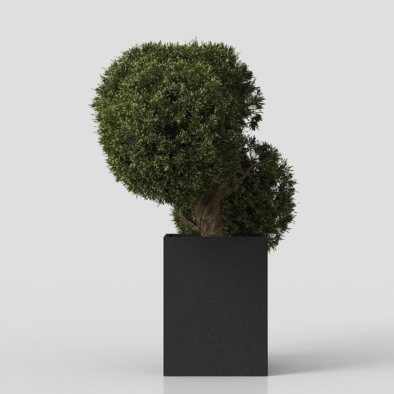 Urban Oasis 3D model - Low Poly Plant Design