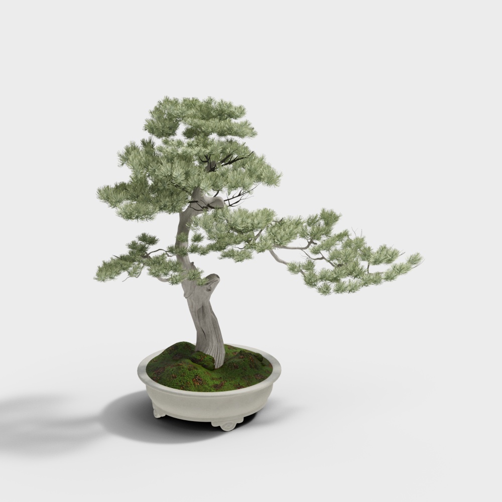 บอนไซสไตล์จีนใหม่