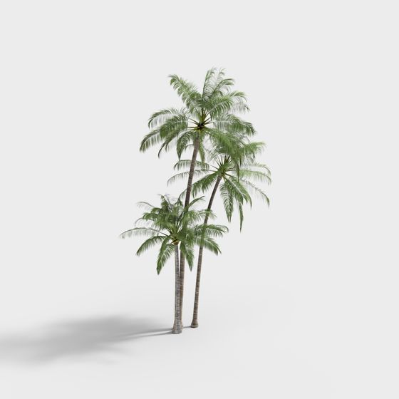 Stunning Low-Poly Palm Tree 3D model