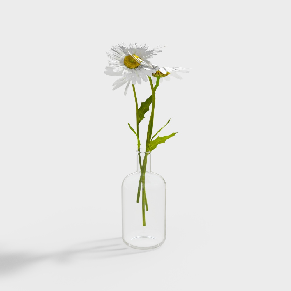 Vaso da Casa Moderno