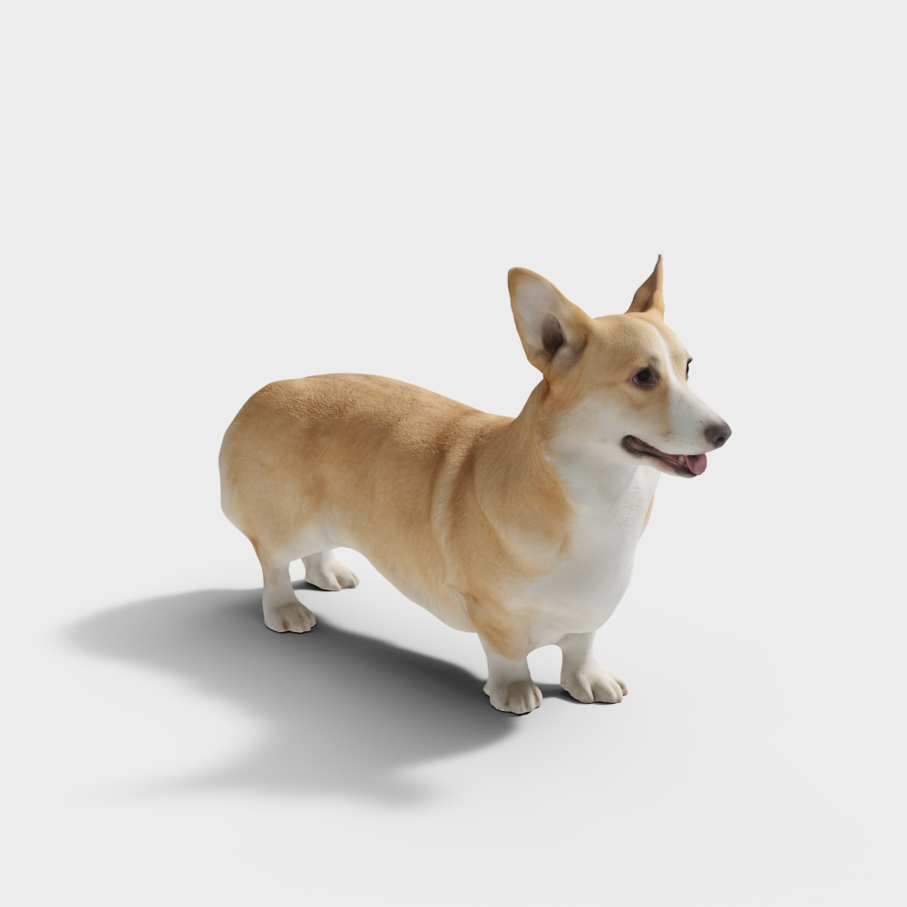 คอร์กี้