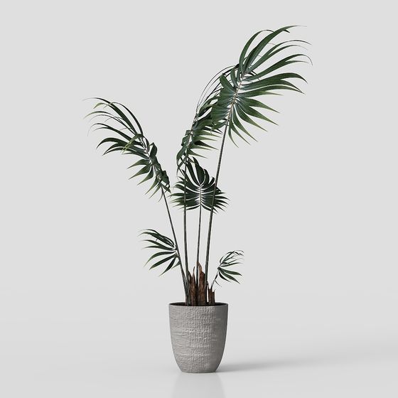 Tropical Style Potted Plant 3D model